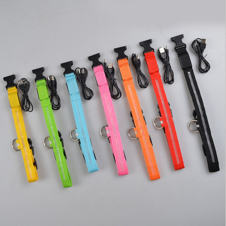 LED Night Safety Dog Collar – Glows in the Dark!