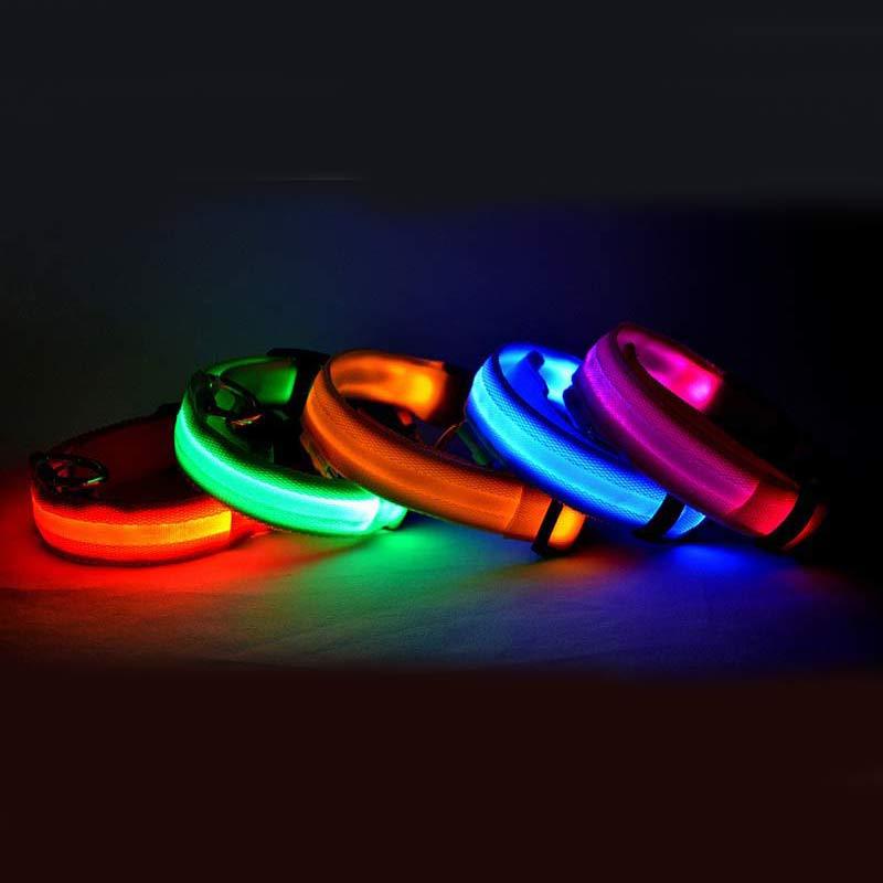 LED Night Safety Dog Collar – Glows in the Dark!