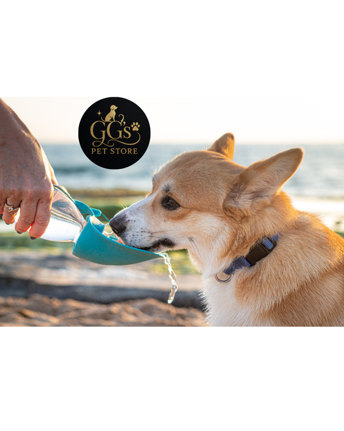 Dog drinking water from a blue pet water bottle on a beach with GGS Pet Store logo.