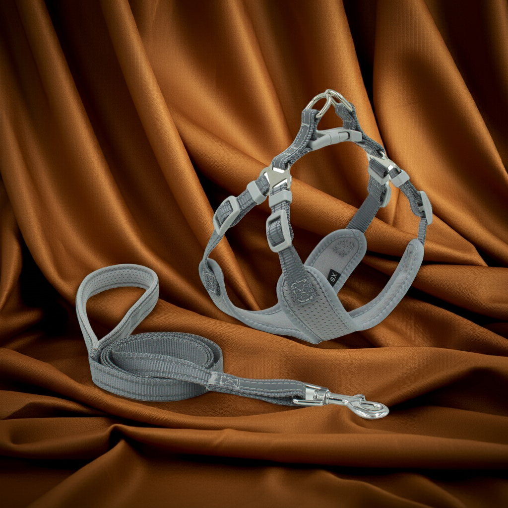 Reflective and breathable mesh dog harness