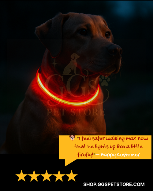LED Night Safety Dog Collar – Glows in the Dark!